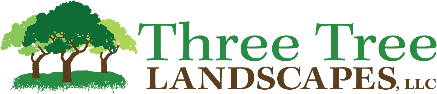 Three Tree Landscapes