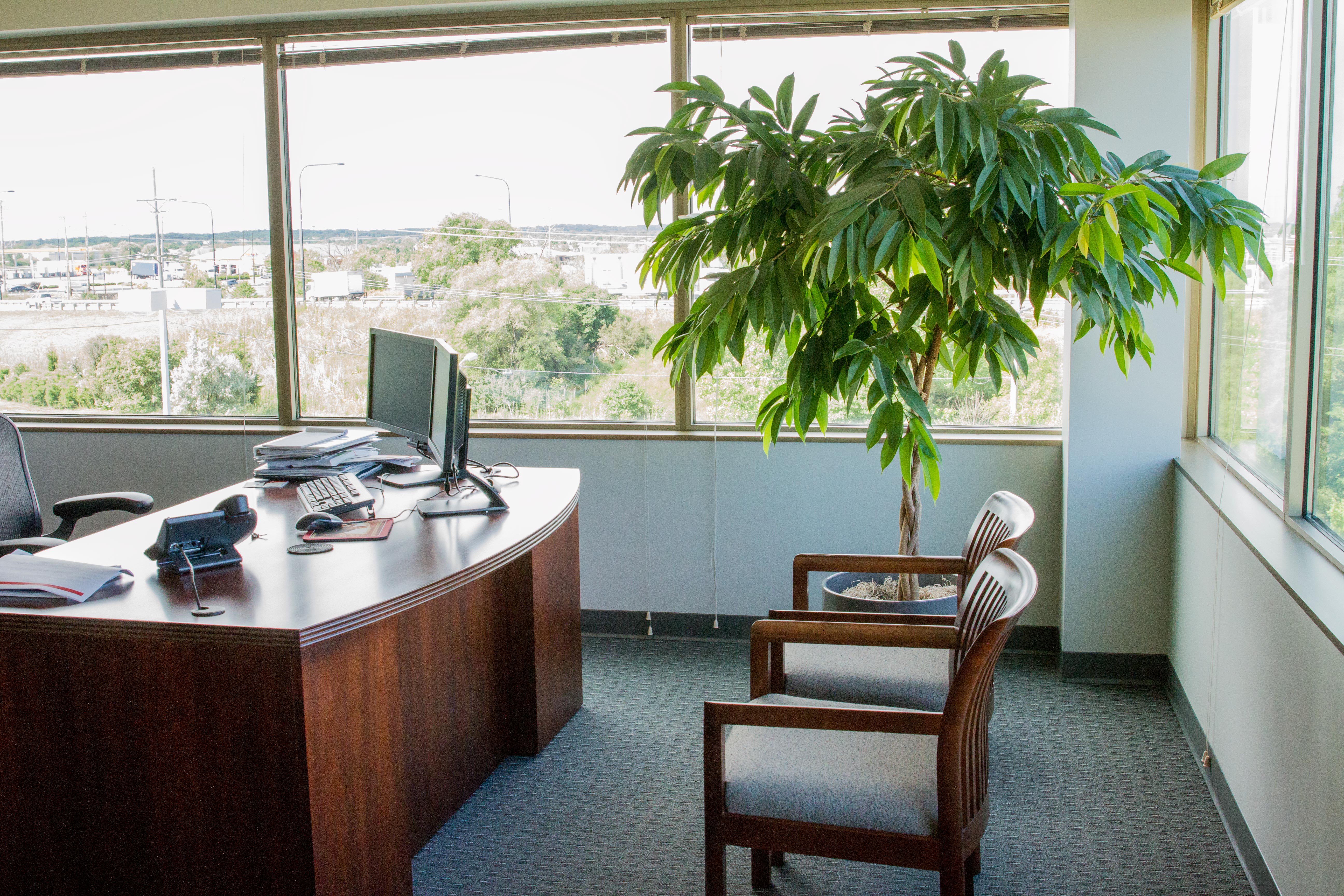Tropical Plant Services